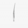 Nail scissors SBC-10/2 (21 mm, matt) STALEKS  BEAUTY & CARE 