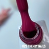 Gel Polish Nr. 029 von Trendy Nails (8ml)
