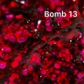 Nailart Effekt Gel Shimmer Bomb 5ml von NOGTIKA in 10 Farben 