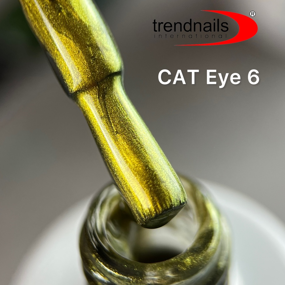 Transparent Cat Eye in 6 colors 10ml from Trendnails