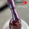 Transparent Cat Eye Polish 10 ml von Trendnails