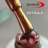 Transparent Cat Eye Polish 10 ml von Trendnails