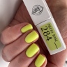 NEON BASE 15ml von Trendy Nails in 5 Tönen erhältlich