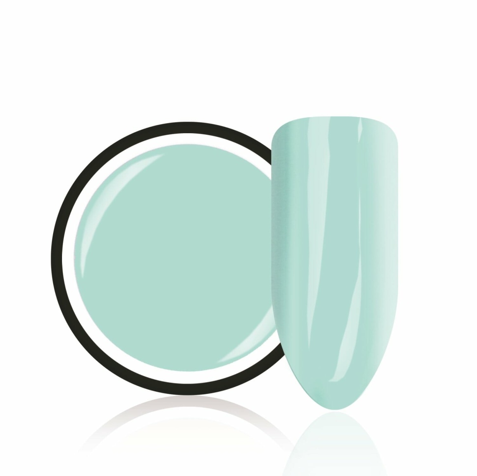 Color gel from Trendnails "Mint Wonder" 5ml