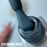Гель-лак № 073 от Trendy Nails (8 мл)
